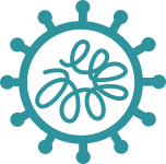 Icon representing the Avian Corona Virus structure.