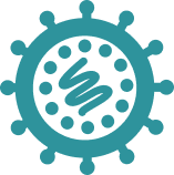 Icon depicting the Equine Arteritis Virus (EAV).