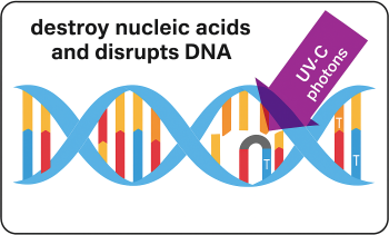 UV-C light breaking down DNA of harmful microorganisms during hospital surface disinfection