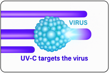 Graphic showing UVC light targeting and destroying viruses during disinfection.