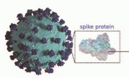 Visual showing virus with spike proteins highlighted to explain photo-electron interaction.
